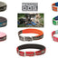 Weaver Terrain D.O.G. Durable Pet Outdoor Gear Reflective Neoprene Lined Collars - Hooves and Paws