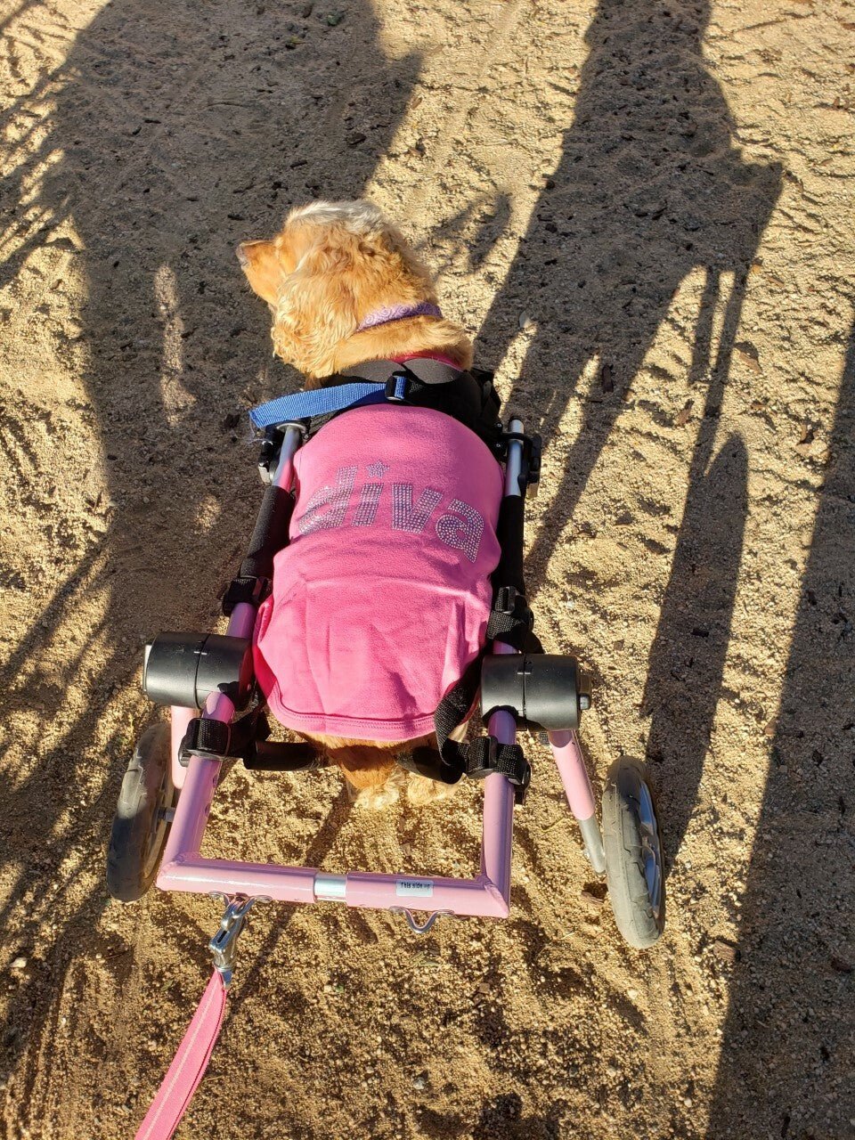 Parisian Pet Barking Diva Embroidered Tshirt - Hooves and Paws