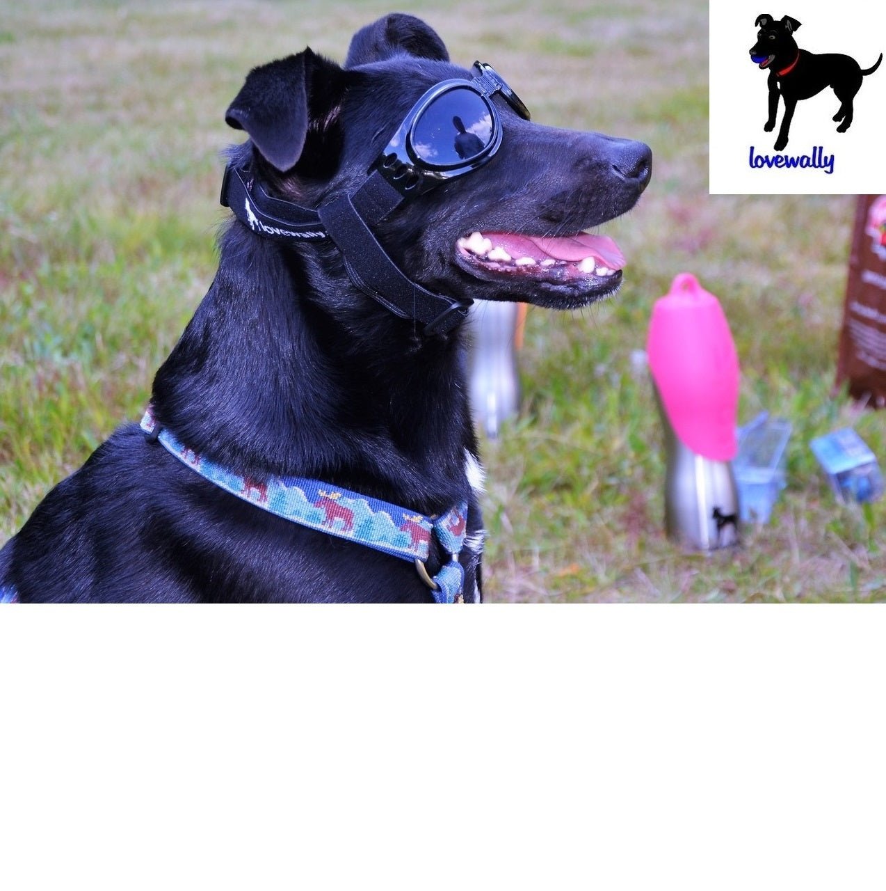 LoveWally Dog Goggles Sunglasses Outdoor Adventure Gear - Hooves and Paws