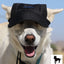 Dog Outdoor Adventure Gear Embroidered Pet Hat LoveWally Adjustable - Hooves and Paws