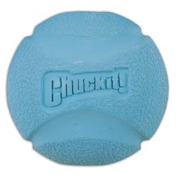 Chuck It Fetch Ball 1 Pack Lg