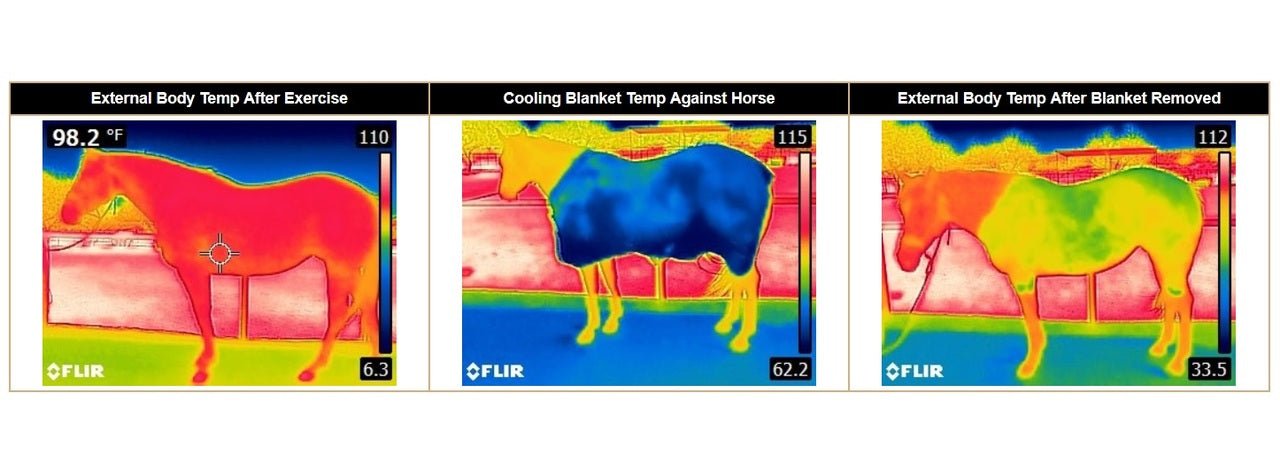 Weaver Leather CoolAidÂ® Horse Equine Cooling Coolcore Blanket - Hooves and Paws