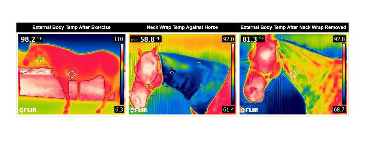 Weaver Leather CoolAidÂ® Horse Equine Cooling Neck Wrap - Hooves and Paws