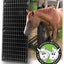 Shires Equine Horse Scratcher - Hooves and Paws