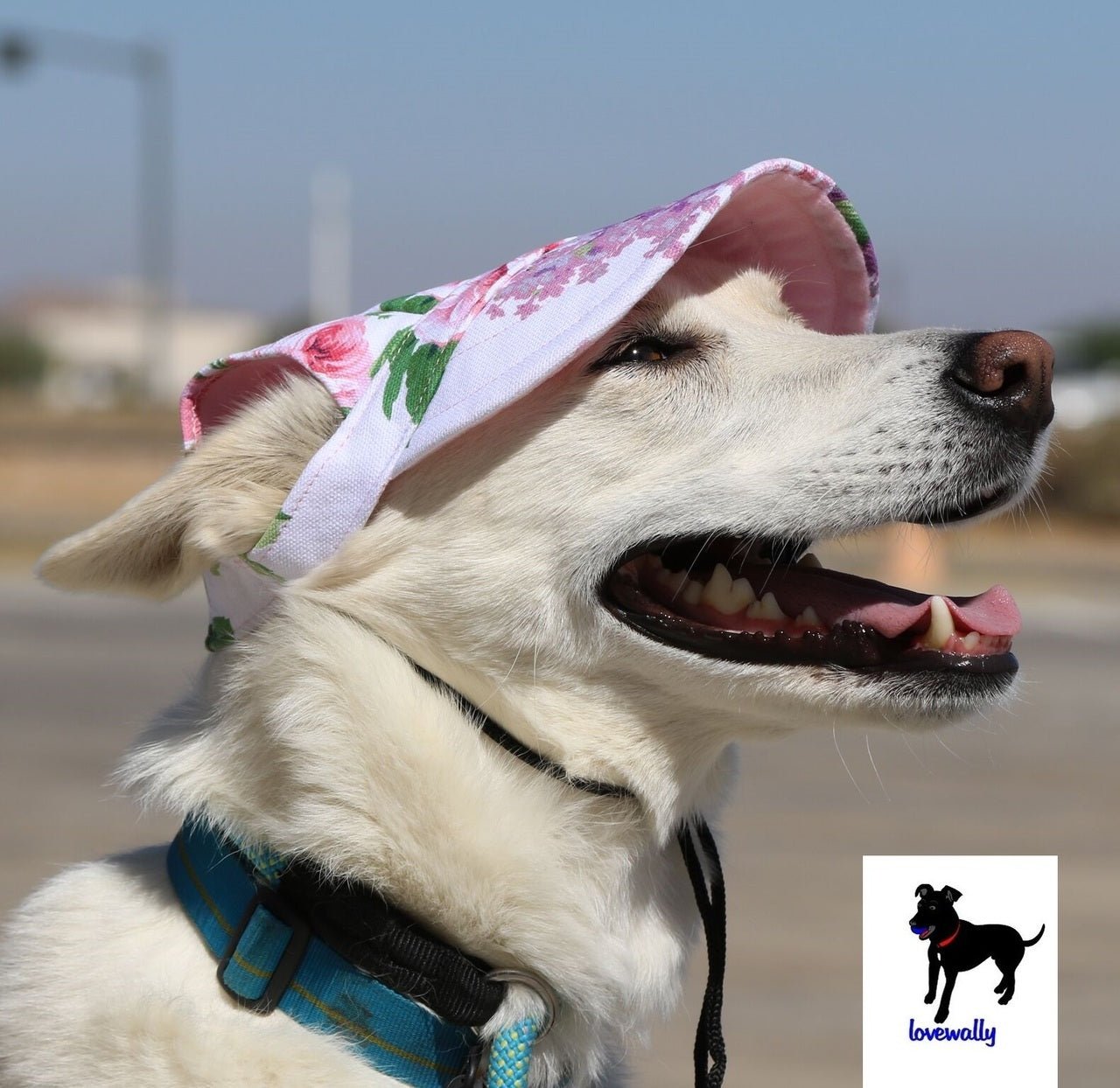 Dog Outdoor Adventure Gear Embroidered Pet Hat LoveWally Adjustable - Hooves and Paws