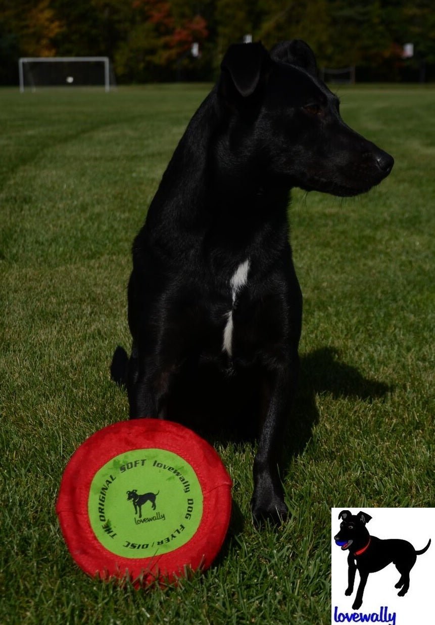 LoveWally The Original Soft Bite Floppy Disc Flyer Outdoor Adventure Gear Dog Toy - Hooves and Paws