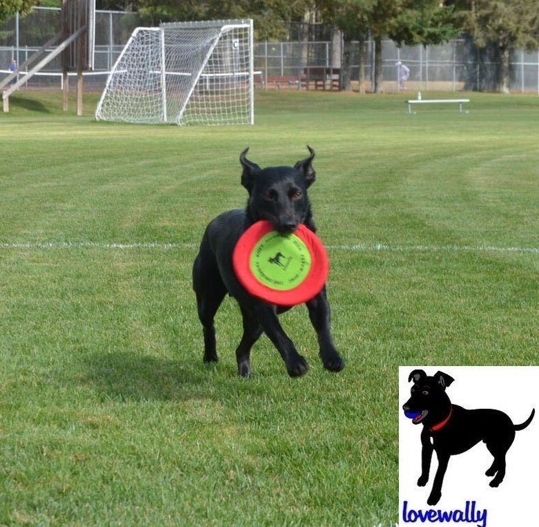 LoveWally The Original Soft Bite Floppy Disc Flyer Outdoor Adventure Gear Dog Toy - Hooves and Paws