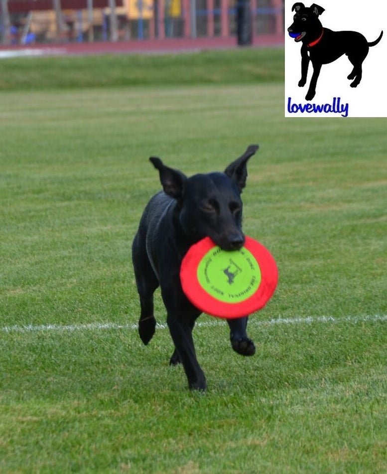 LoveWally The Original Soft Bite Floppy Disc Flyer Outdoor Adventure Gear Dog Toy - Hooves and Paws