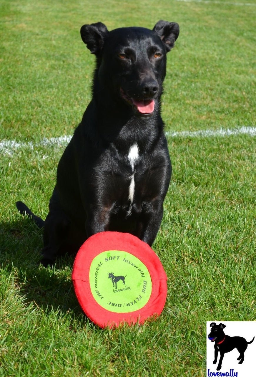 LoveWally The Original Soft Bite Floppy Disc Flyer Outdoor Adventure Gear Dog Toy - Hooves and Paws