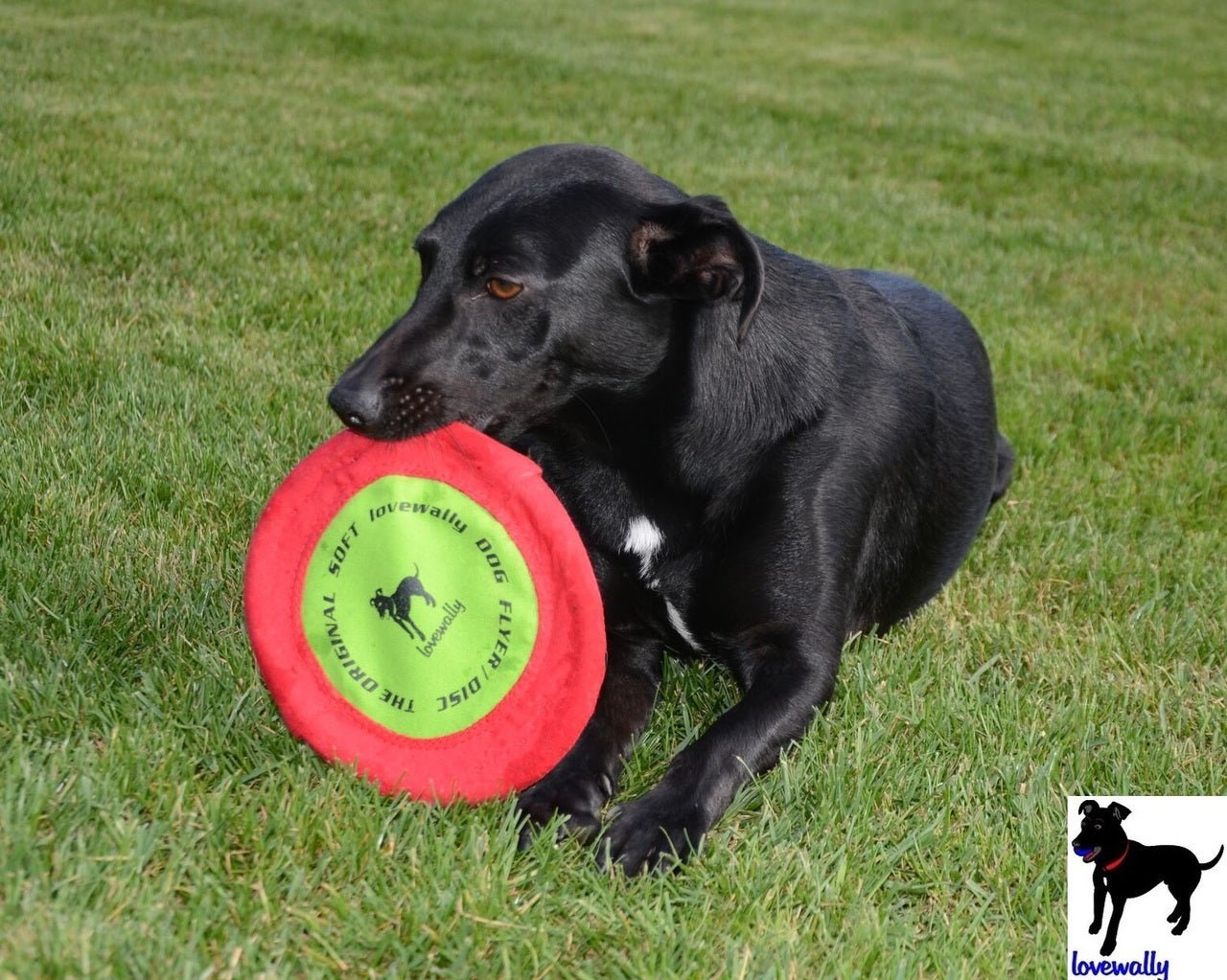 LoveWally The Original Soft Bite Floppy Disc Flyer Outdoor Adventure Gear Dog Toy - Hooves and Paws