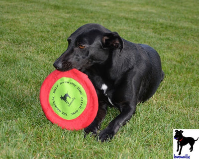 LoveWally The Original Soft Bite Floppy Disc Flyer Outdoor Adventure Gear Dog Toy - Hooves and Paws