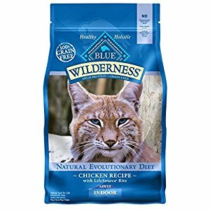 Wilderness Indoor Cat