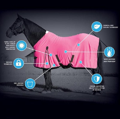 Weaver Leather CoolAidÂ® Horse Equine Cooling Coolcore Blanket - Hooves and Paws