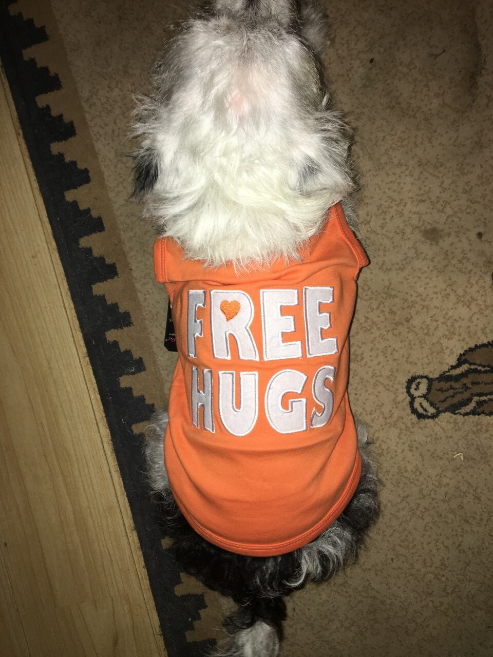 Parisian Pet Boss Embroidered Tshirt - Hooves and Paws