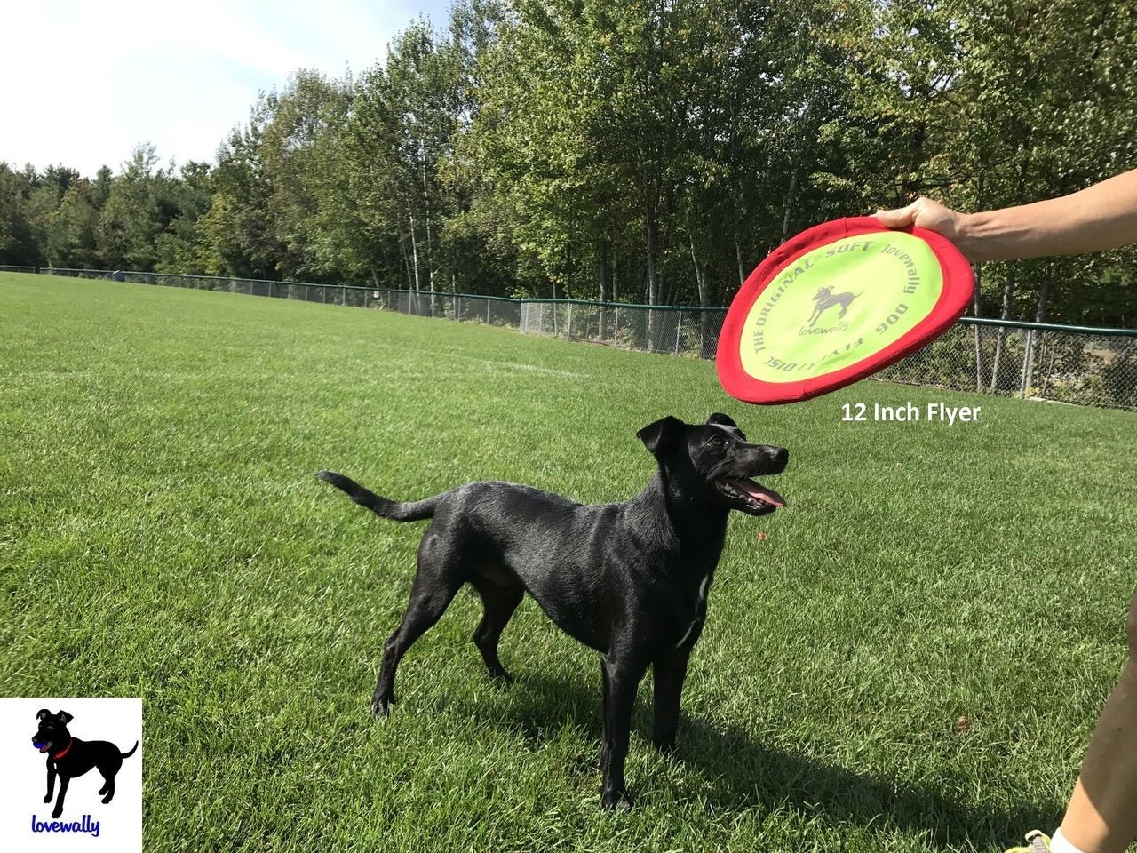 LoveWally The Original Soft Bite Floppy Disc Flyer Outdoor Adventure Gear Dog Toy - Hooves and Paws