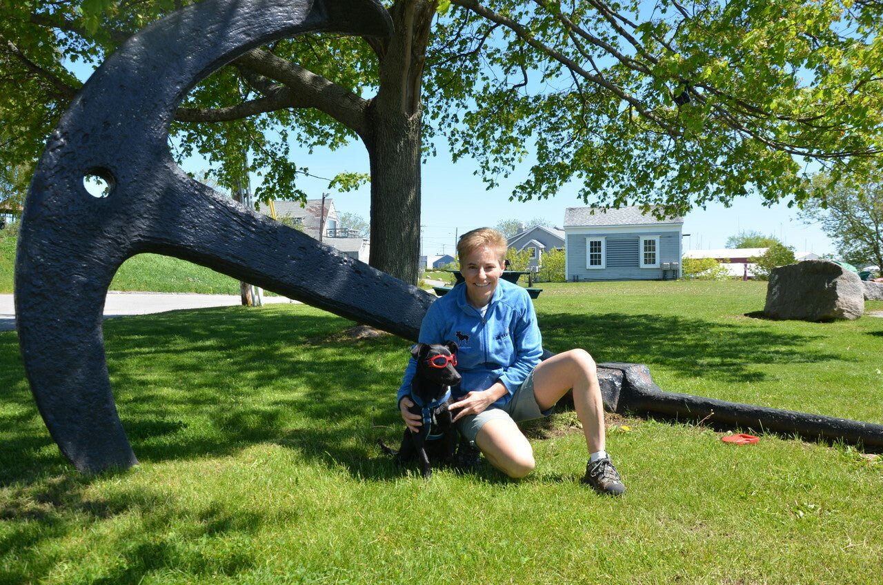 LoveWally Dog Goggles Sunglasses Outdoor Adventure Gear - Hooves and Paws