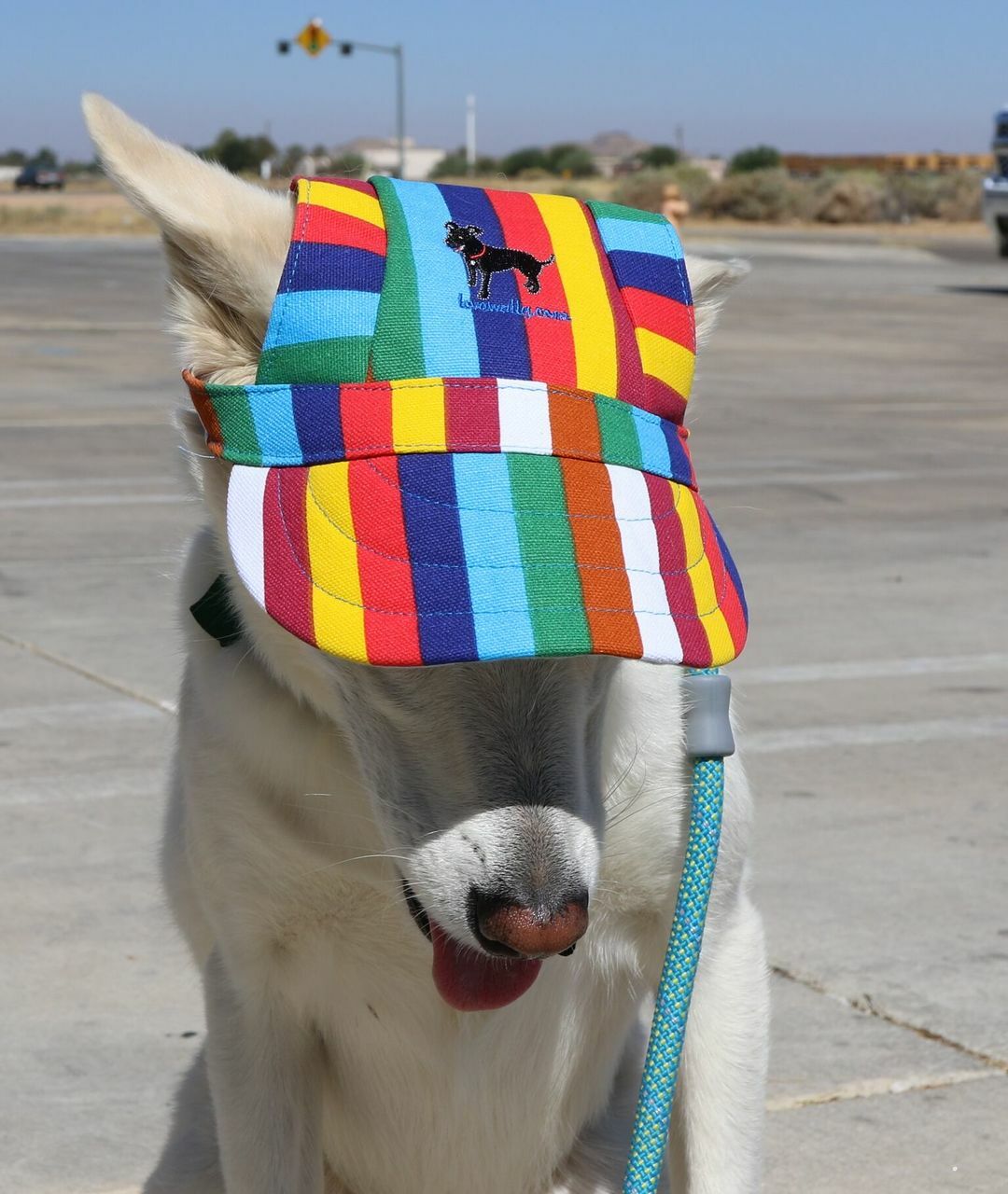 Dog Outdoor Adventure Gear Embroidered Pet Hat LoveWally Adjustable - Hooves and Paws