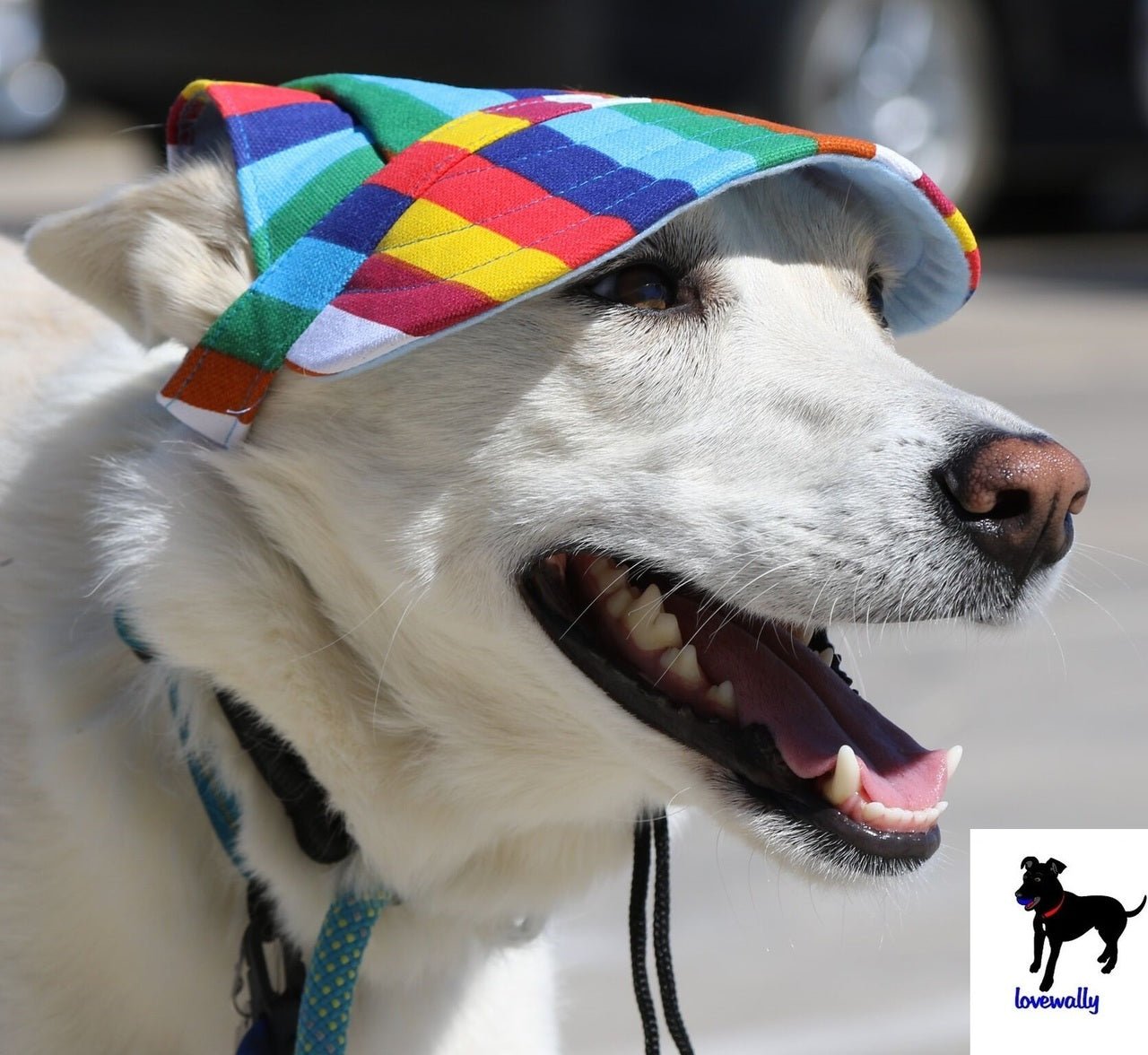 Dog Outdoor Adventure Gear Embroidered Pet Hat LoveWally Adjustable - Hooves and Paws