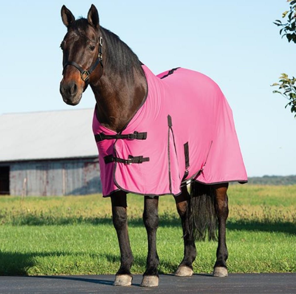 Weaver Leather CoolAidÂ® Horse Equine Cooling Coolcore Blanket - Hooves and Paws