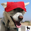 Dog Outdoor Adventure Gear Embroidered Pet Hat LoveWally Adjustable - Hooves and Paws