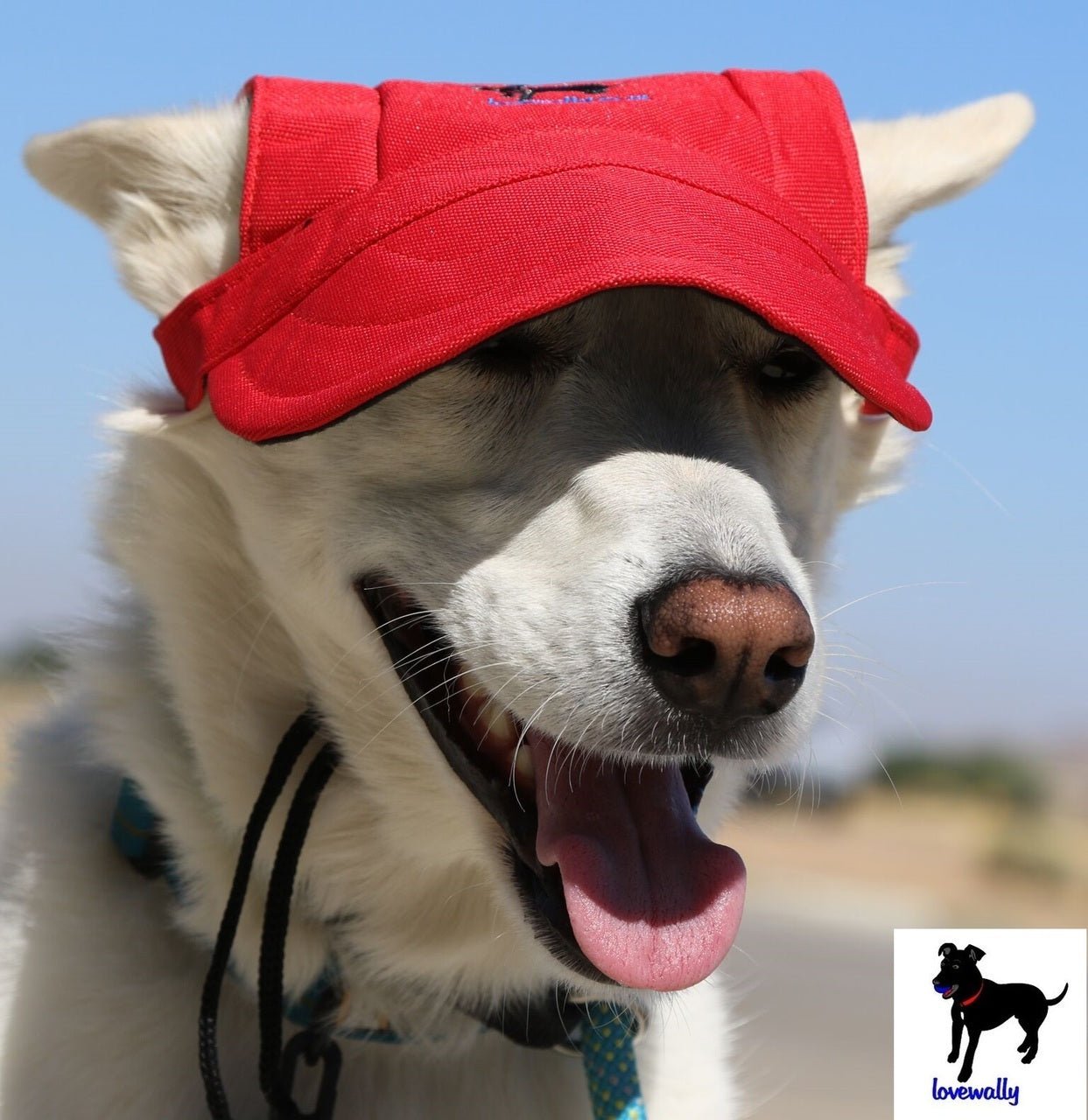 Dog Outdoor Adventure Gear Embroidered Pet Hat LoveWally Adjustable - Hooves and Paws