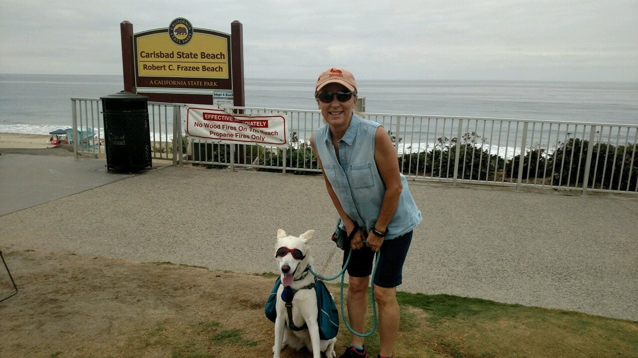 LoveWally Dog Goggles Sunglasses Outdoor Adventure Gear - Hooves and Paws