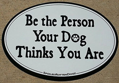 Magnet - Hooves and Paws