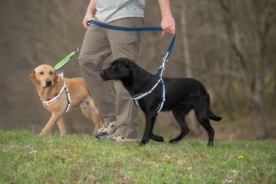 Weaver Terrain D.O.G. Durable Pet Outdoor Gear Reflective Neoprene Lined Harness - Hooves and Paws