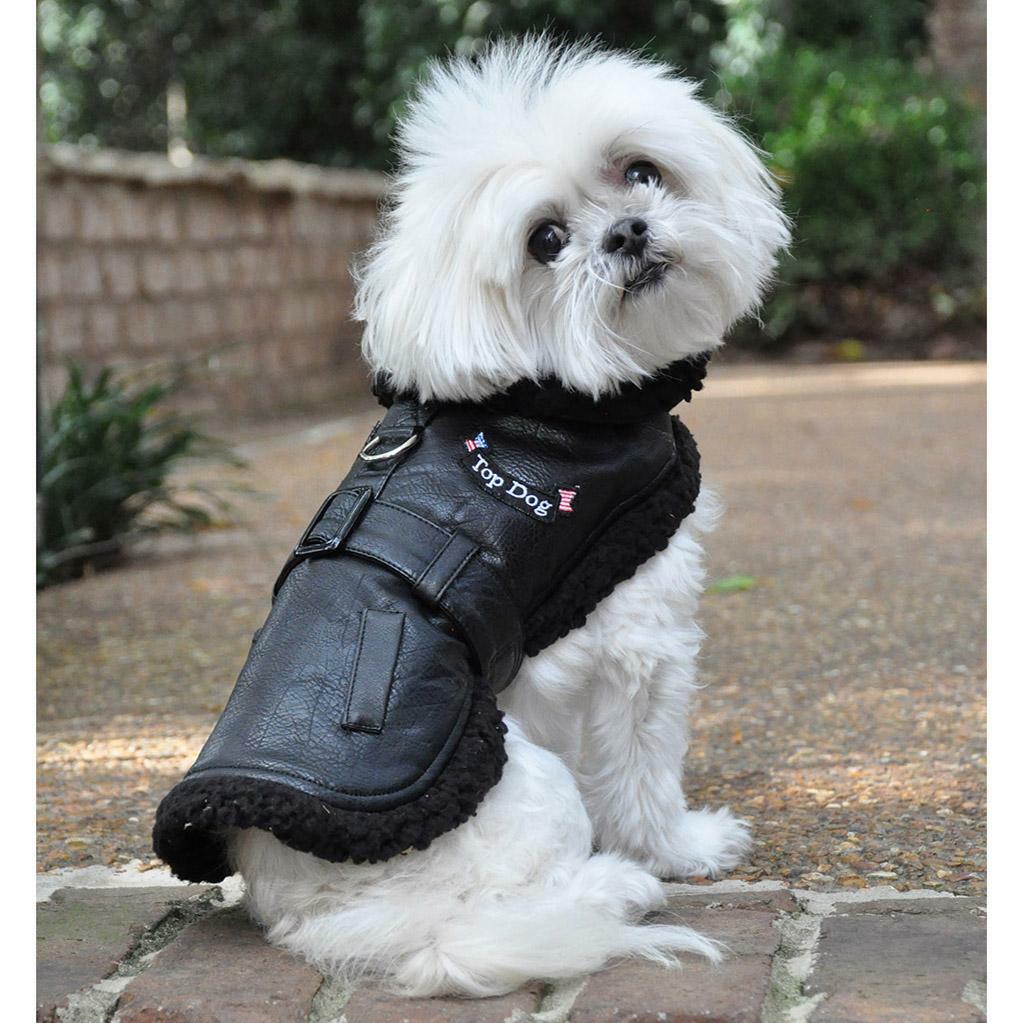 Doggie Design Black Top Dog Flight Outdoor Jacket Coat With Matching Leash - Hooves and Paws