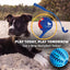 Wally Ball Launcher Dog Toy 19.5” LoveWally Fetch & Retrieve - Hooves and Paws