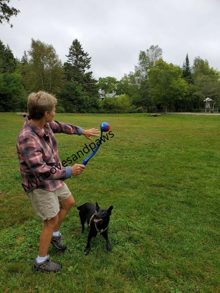 Wally Ball Launcher Dog Toy 19.5” LoveWally Fetch & Retrieve - Hooves and Paws