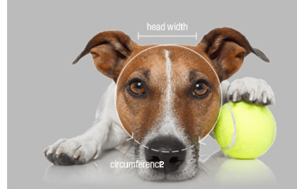 Dog Outdoor Adventure Gear Embroidered Pet Hat LoveWally Adjustable - Hooves and Paws